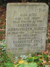 foto_2235a.jpg (59566 bytes)